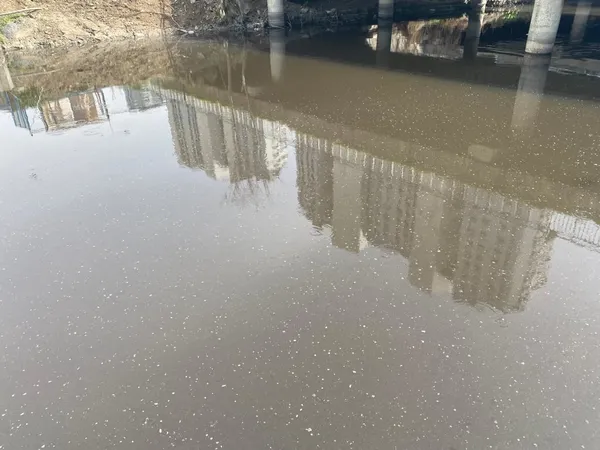 İstanbul’da Ayamama Deresi’ne kirli su akmaya devam ediyor! Pislik, koku ve sinekler hüküm sürüyor