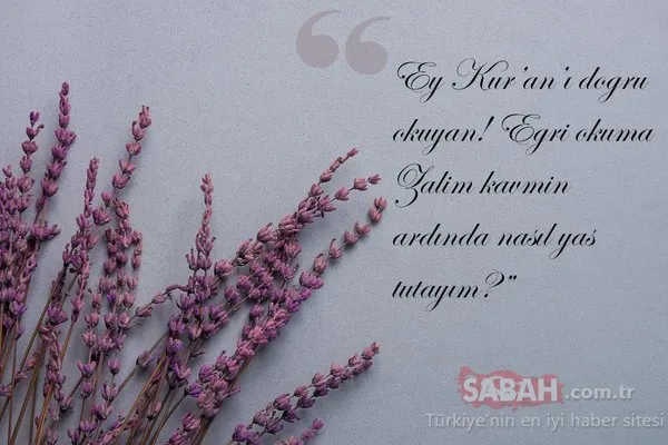 Doğum yıl dönümde Mevlana'yı anıyoruz...Mevlana'nın 10 özlü sözü