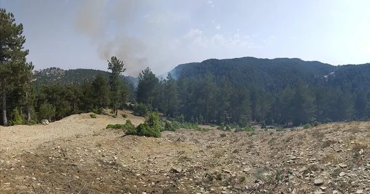 Adana’da yerleşim yeri yakınında çıkan orman yangını kontrol altında