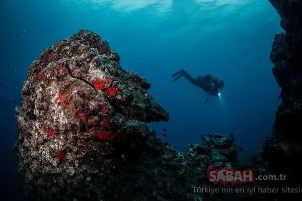 Doğu Akdeniz'in 'Kızıldeniz'i' Samandağ Sahilleri