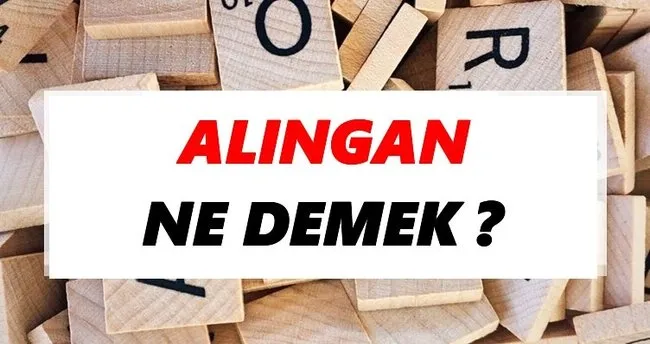 Alıngan Ne Demek? TDK’ya Göre Alıngan Sözlük Anlamı Nedir?