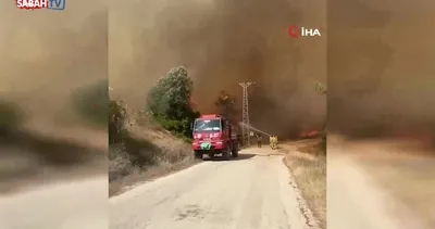 Adana’da orman yangını çıktı | Video