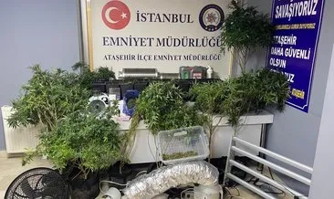 Rezidans dairesini seraya dönüştürdüler! 10 kilo zehirle yakalandılar #istanbul
