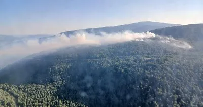 Karabük’teki orman yangını 9 saat sonra kontrol altına alındı