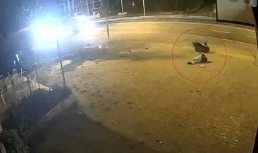 17 yaşındaki sürücünün korku dolu anları kamerada: Levhaya çarptı, metrelerce savruldu! #trabzon