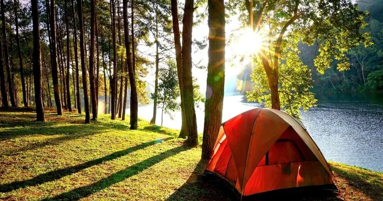 Kamp MSD