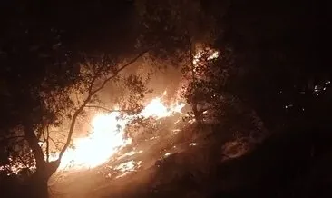 Balıkesir'deki orman yangını kontrol altına alındı #balikesir