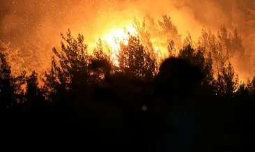 SON DAKİKA: Eski Orman Genel Müdürü Osman Kahveci’den Marmaris’teki orman yangını ile ilgili çarpıcı sözler: Bu müthiş bir rakam...