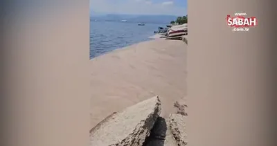 Kabus geri mi döndü? İzmit Körfezi’nde müsilaj alarmı!