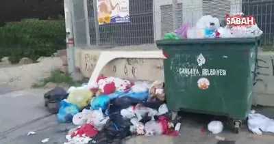Ankara Büyükşehir ve Çankaya Belediyeleri’ne çöp tepkisi Z kuşağı da sizi anlayacak artık! | Video