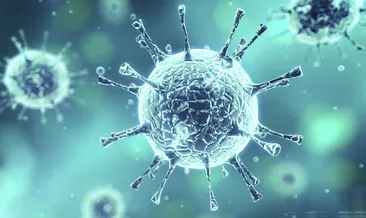 Taşova: İkinci dalga Eylül’de bekleniyor’