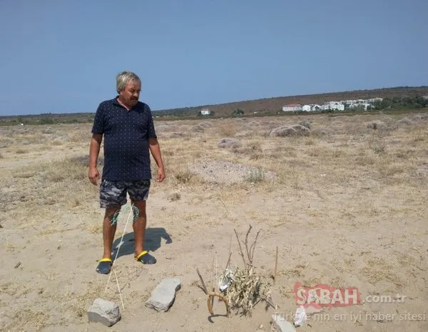 Balıkesir Ayvalık'taki son zambakları mahalle sakinleri böyle koruyor
