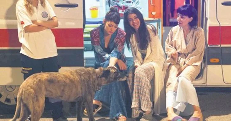 Bu arkadaşlık çok şaşırtacak