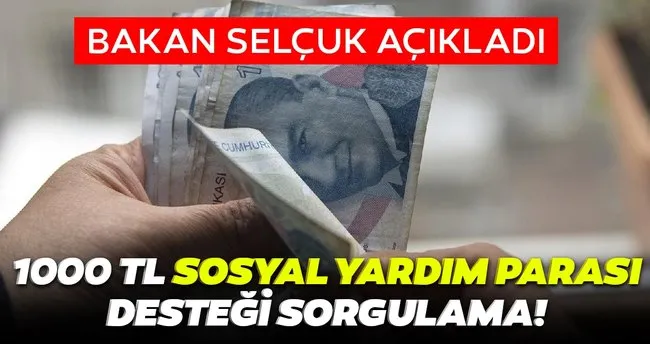 Son Dakika Haber 1000 Tl Sosyal Yardim Destegi Parasi E Devlet Sorgulama Ekrani 2020 Sosyal Yardim Destekleri Kimlere Verilecek Ne Zaman Yatacak Son Dakika Haberler