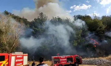 Son dakika: Denizli’de orman yangını!
