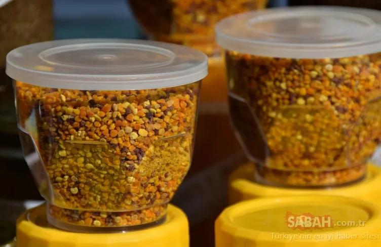 Doğanın mucizesi...Akciğeri temizliyor!