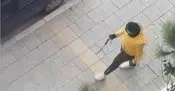 Zuv35rihzkplam