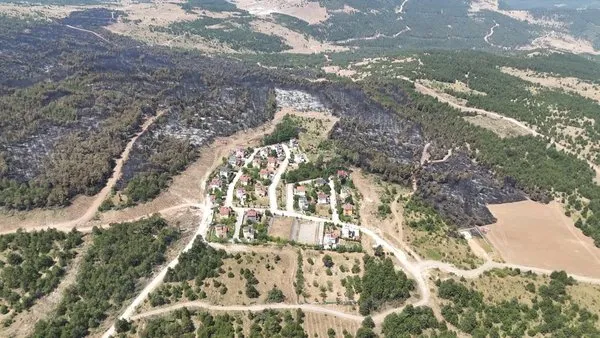 Karabük Orman Yangını