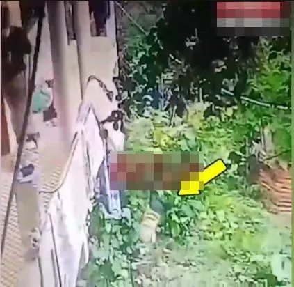 Ordu’da babaanne 2 yaşındaki torununu balkondan attı: İşte kan donduran anlar!