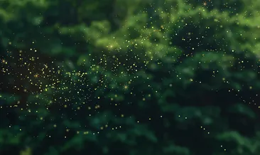 Para ağaçta yetişmiyor olabilir ama altın yetişiyor! İşte inanılmaz keşif...