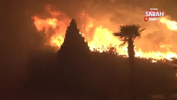 İspanya'da orman yangını: Bin 400 hektarlık alan kül oldu | Video