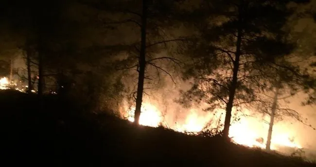 Son dakika: Hatay'da orman yangını