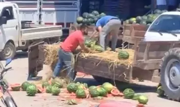 Karpuzlarını yere atarak parçalayan iki üreticiye rekor para cezası
