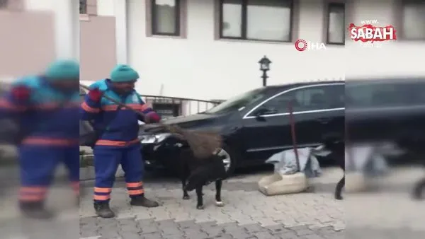 Temizlik işçisinin sokak köpeklerine süpürgeyle masaj yaptığı anlar kamerada