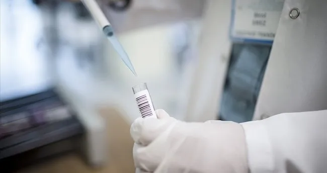 Maymun çiçeği virüsü pandemi yaratır mı? Çiçek aşısının koruyuculuk oranı ne?