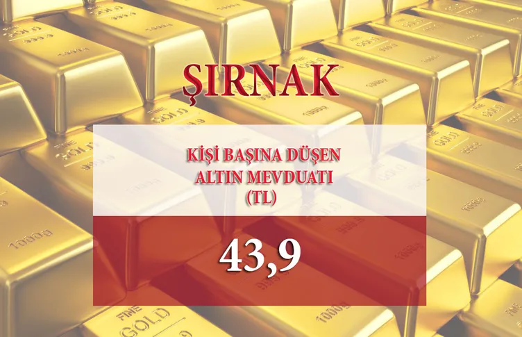 Türkiye'de altın en çok hangi şehirde var?