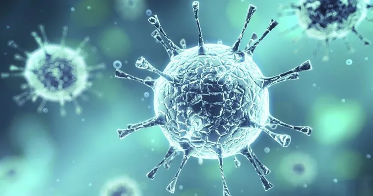 Dünya genelinde koronavirüsten iyileşenlerin sayısı 31 milyonu geçti