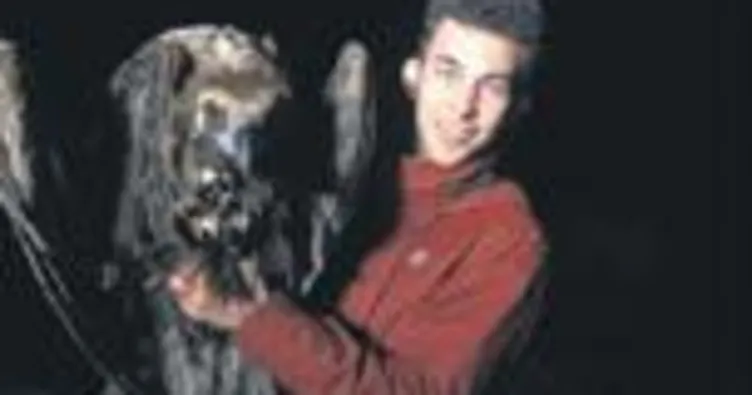 Yaralı akbaba sağlığına kavuştu