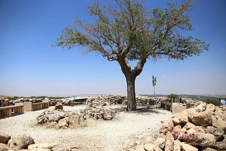 Başkan Erdoğan 2019 yılının Göbeklitepe yılı ilan edildiğini açıklamıştı! İşte Göbeklitepe hakkında bilinmesi gerekenler