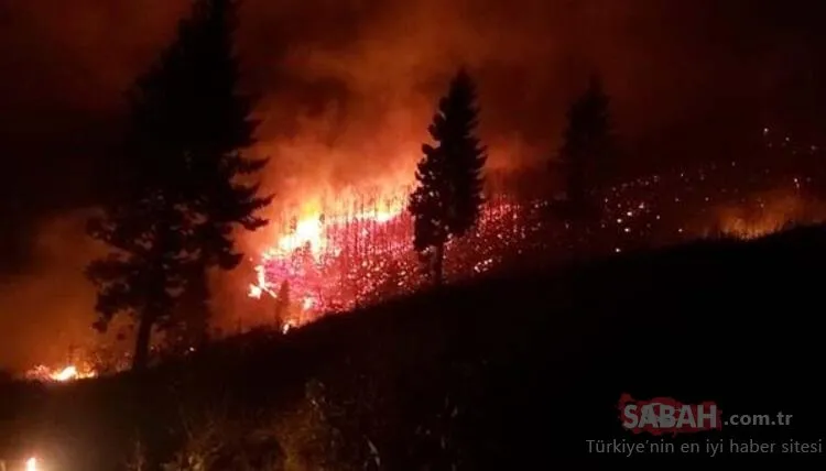 Karadeniz’de 26 noktada orman yangını: 5 ev kül oldu, tarım arazileri zarar gördü