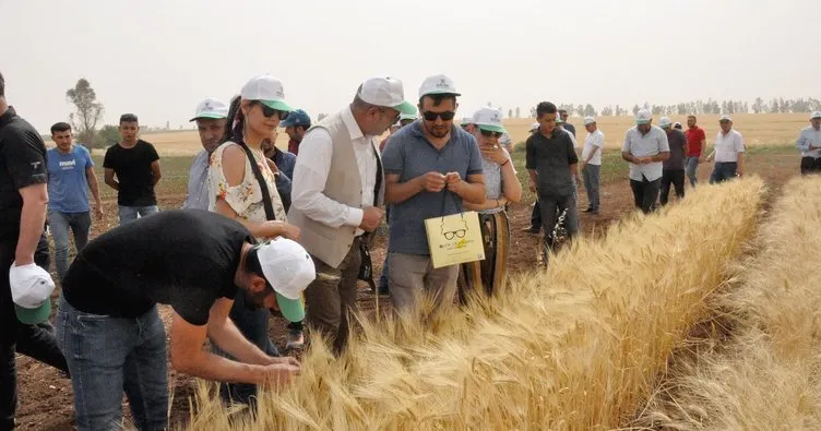 Mardin’de tarımsal ürün çeşitliliği artıyor