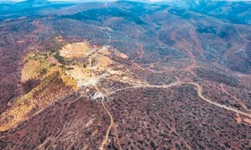 Yeşil şehir küllerinden yeniden doğdu #bursa