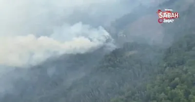 Çekya’daki orman yangınında bin hektarlık alan kül oldu | Video