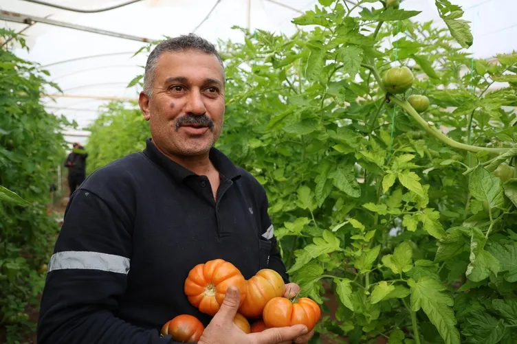Adana’da 15 yıl önce babasından öğrendi şimdi para para demiyor! 400 metrekareden 30 dönüme ulaştı