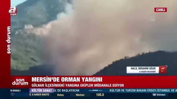 SON DAKİKA! Mersin'de orman yangını! Karadan ve havadan müdahale başladı | Video