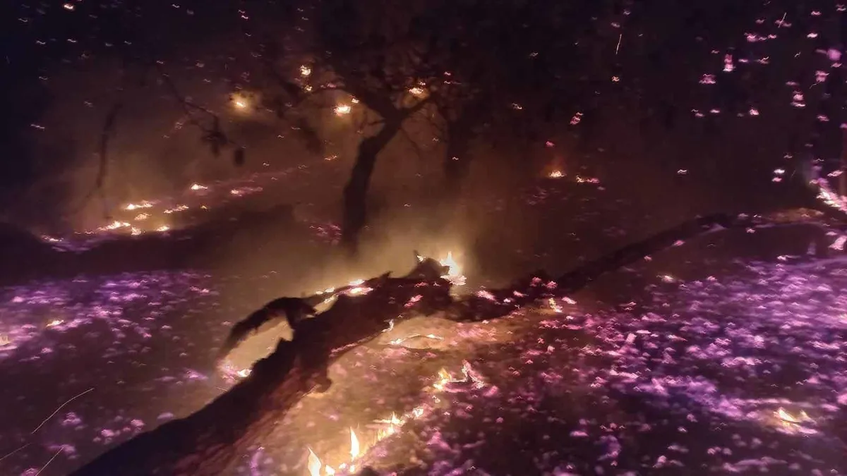 Bandırma’da çamlık alanda yangın! Ekipler seferber oldu Bandırma’da çamlık alanda yangın! Ekipler seferber oldu