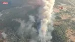 İzmir Buca’da orman yangını