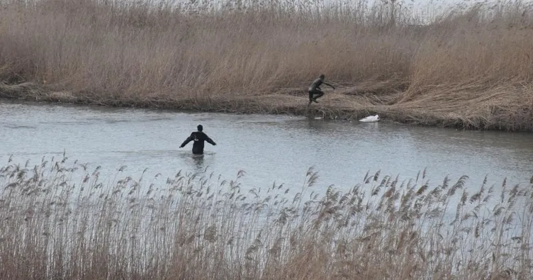 Kaçak midye avında yakalandılar