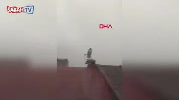 İstanbul'da fırtına etkili oluyor