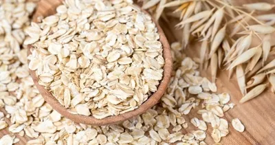 Prof. DR. İbrahim Saraçoğlu: KOAH’ın şifası yulaf samanı