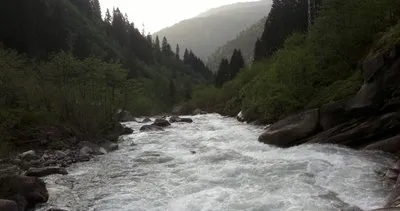 Trabzon'da derelerin su kaynakları temiz çıktı #trabzon