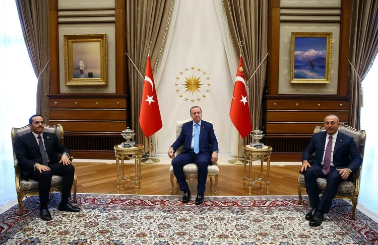 Cumhurbaşkanı Erdoğan, Al Sani ile görüştü - 1