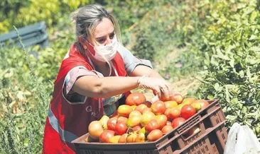 Yeniden başlangıç yeniden umut
