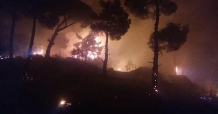 Aydın’daki orman yangını kontrol altına alındı