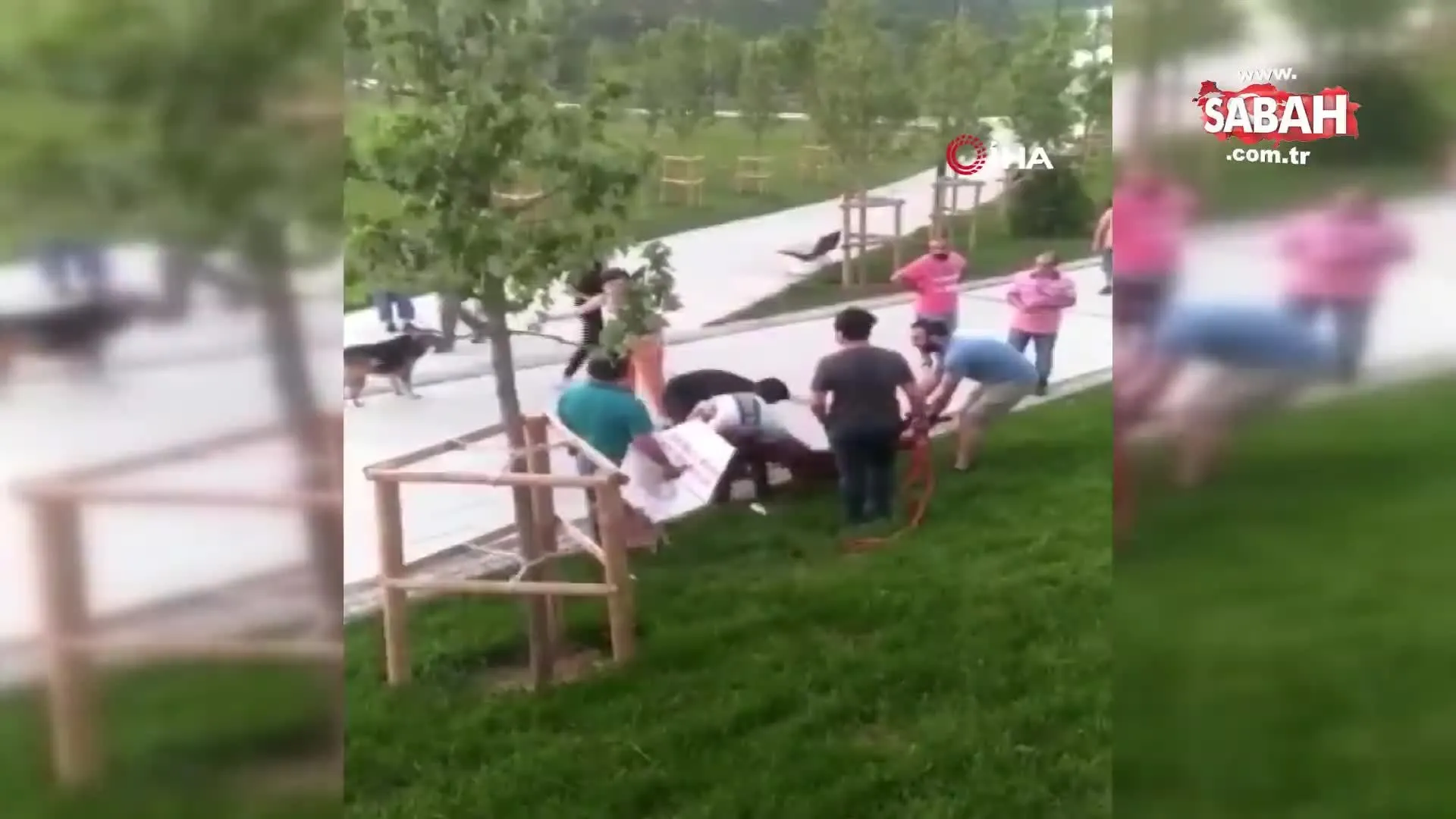 istanbul sultangazi de pitbull dehseti