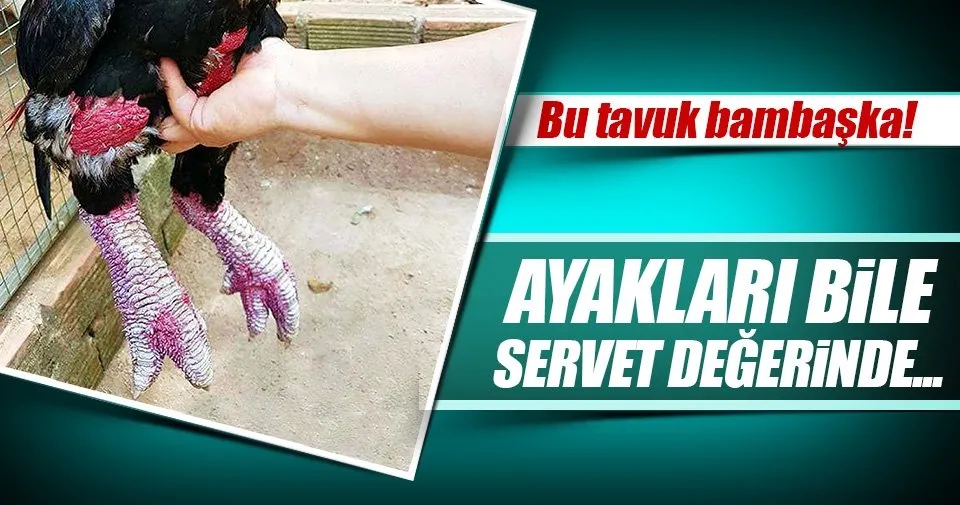 sabah